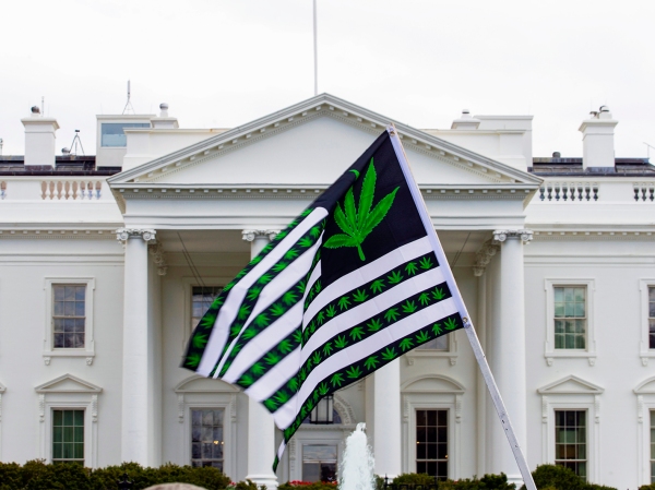 A demonstrator waves a flag with marijuana leaves depicted on it in front of the White House