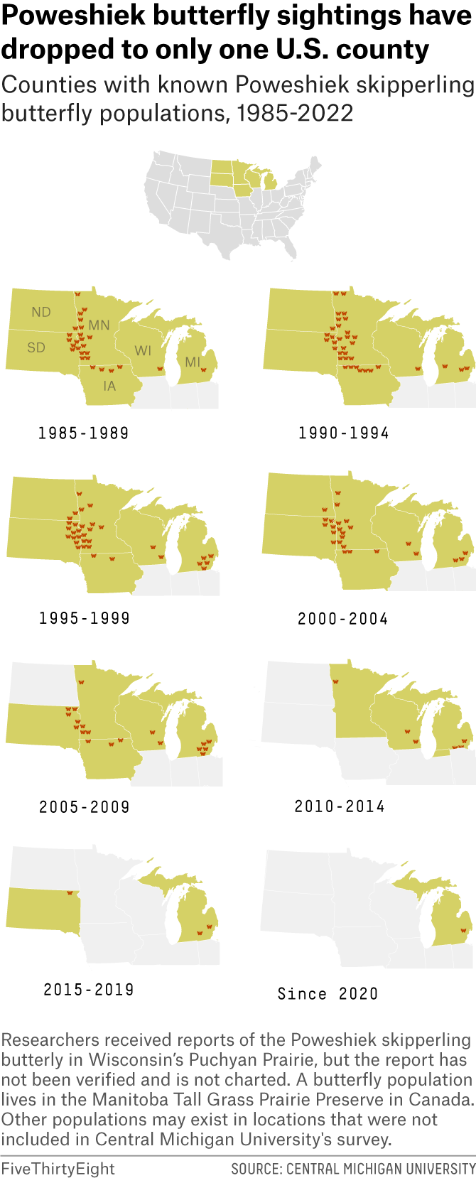 A series of eight maps showing where Poweshiek butterflies have been sighted, with each map representing a five-year interval. Starting in 1985, the butterflies were found in six different states across the Upper Midwest. Since 2020, they've only been spotted in one sight in Michigan.